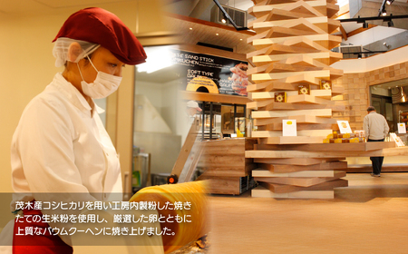 バームクーヘン 茂木町産米粉100％使用 ハード１個/ソフト２個(Sサイズ)｜  バウムクーヘン バウムクーヘン バウムクーヘン バウムクーヘン バウムクーヘン