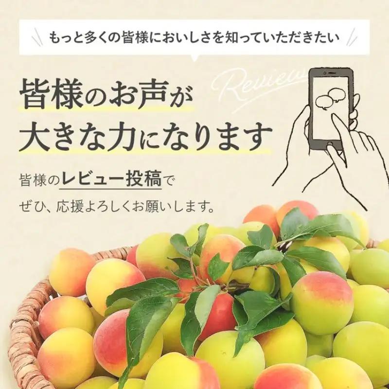 【紀州南高梅】ご飯に合う甘くない はちみつ梅干（塩分8％）80g×5パック A級品 / 梅干し 梅干 梅 紀州南高梅 南高梅 はちみつ使用 はちみつ梅 肉厚 お米 おにぎり はちみつ梅 塩分8％ 塩分