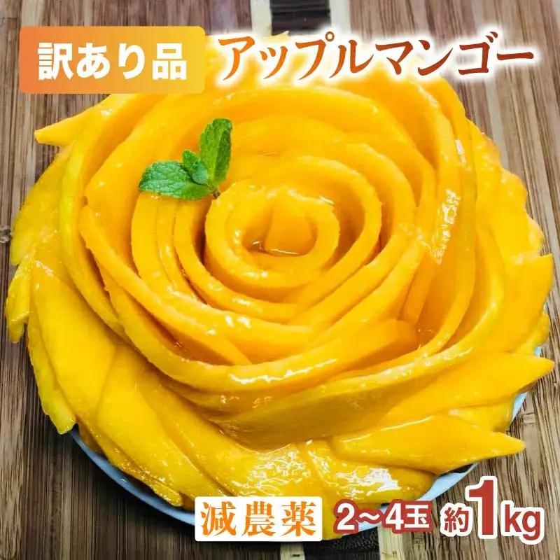 【訳あり】 アップルマンゴー 約1kg 2～4玉 