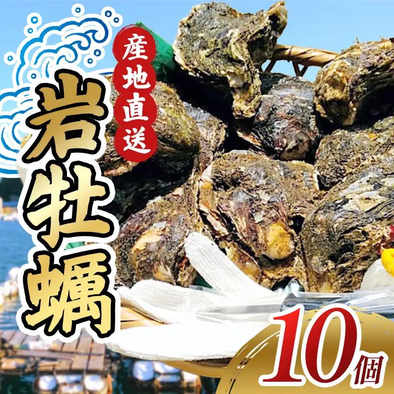 【冷蔵】牡蠣 岩ガキ 約3.5kg 10ケ入