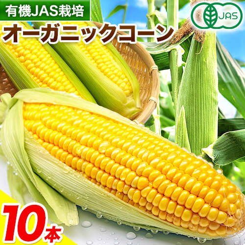 【ふるさと納税】有機JAS栽培 とうもろこし オーガニック コーン 10本 伊場ファーム《2025年8月中旬-9月中旬頃出荷》北海道 十勝 浦幌町 朝もぎたて とうもろこし スイートコーン 有機 新鮮 甘い 希少 送料無料