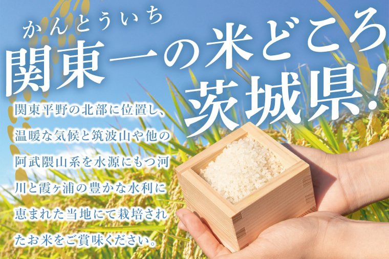 【3ヶ月定期便】茨城県産にじのきらめき　精米　5kg｜精米 定期便 お米 米 こめ コメ ごはん 白米 阿見町 茨城県 茨城県産 茨城県産米 安心 安全 送料無料 国産 人気 数量限定 高評価（85-
