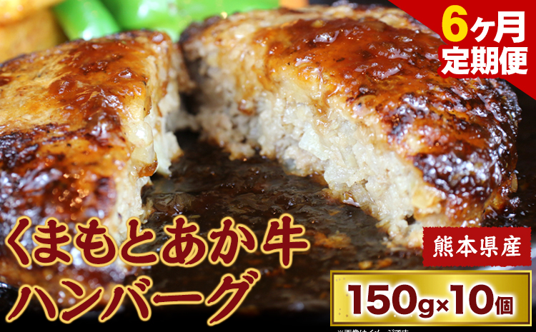 【6ヶ月定期便】 【希少和牛】ハンバーグ 熊本県産 あか牛ハンバーグ 150g × 10個 長洲町L（桜屋） 《お申込み月の翌月から出荷開始》定期 計6回お届け 熊本県 長洲町 送料無料 牛肉 肉 あか牛 定期便