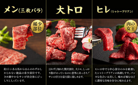 馬肉 熊本特産 フジチクオリジナル ふじ 馬刺し 堪能 セット 道の駅竜北  熊本県 氷川町 肉 馬肉 メン 大トロ 中トロ ヒレ シャトーブリアン ロース ランプ 上赤身 ネギトロ ふじ馬刺し セッ