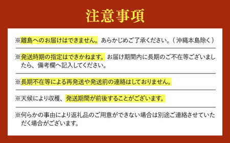 【先行予約・25年8月以降発送】日田産シャインマスカット3房(約1.5kg)　日田市 / 南国フルーツ株式会社 ブドウ 葡萄 ぶどう[ARET006]