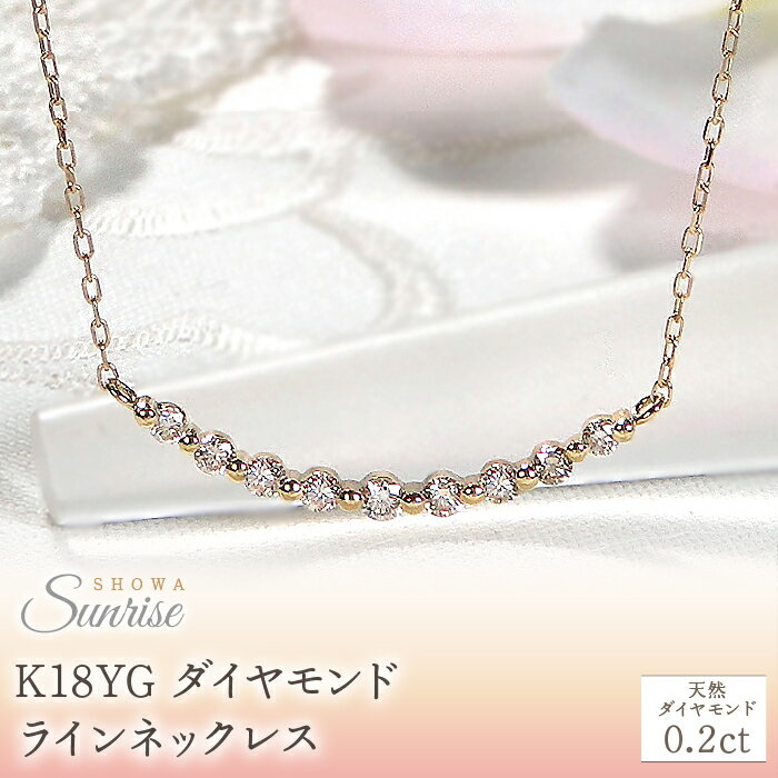 【ふるさと納税】 【0.2ct】K18YG ダイヤモンド ラインネックレス　CSN00217-18Y SWAV022