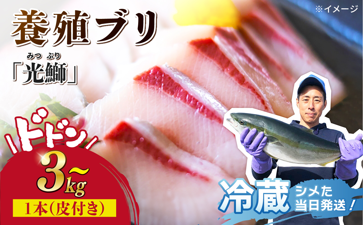 【呼子ノ瀬戸名物】養殖ブリ「光鰤」1本 皮付き 約3kg～＜小山水産＞ [CDZ006]