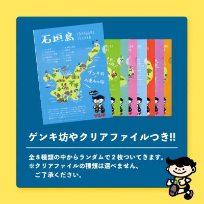 ふるさと納税 石垣市 【ふるさと納税限定】八重山ゲンキ乳業 全種バリューセット |  | 03