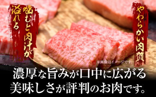 博多和牛焼肉用 500g 黒毛和牛 お取り寄せグルメ お取り寄せ お土産 九州 福岡土産 取り寄せ グルメ MEAT PLUS CP019