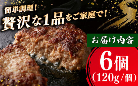 博多和牛×九州産華味鳥　手ごね風ハンバーグ　120g×6個　桂川町/トリゼンフーズ[ADBN015]