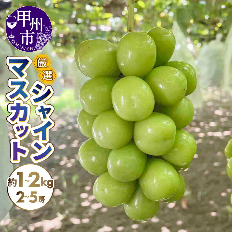 【ふるさと納税】 2026年 先行予約 シャインマスカット 選べる内容量 約1kg 約1.2kg 約1.5kg 約2kg 2房〜5房 果物 ぶどう 葡萄 ブドウ フルーツ くだもの 旬 新鮮 甘い 厳選 人気 プレゼント 贈答 ギフト 期間限定 数量限定 8月 9月 10月 発送 山梨県 甲州市 （SFN）