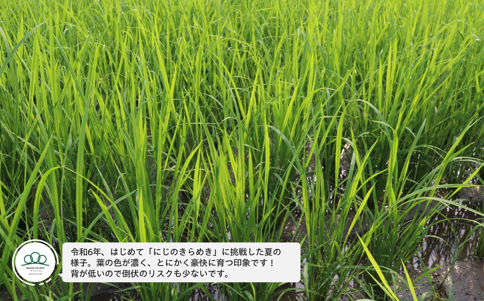 【令和8年産新米予約】精米5kg 南魚沼産にじのきらめき・農家直送_AG【銘柄米 ブランド米 精米 にじのきらめき 魚沼産 新潟米 産地直送 お米 米 こめ コメ ご飯 ごはん】【令和8年10月中旬から1ヶ月以内に順次発送予定】