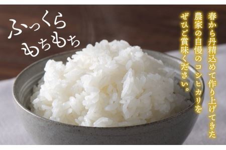 白山の恵み 令和７年度産 コシヒカリ（精米）10kg [B-009013]