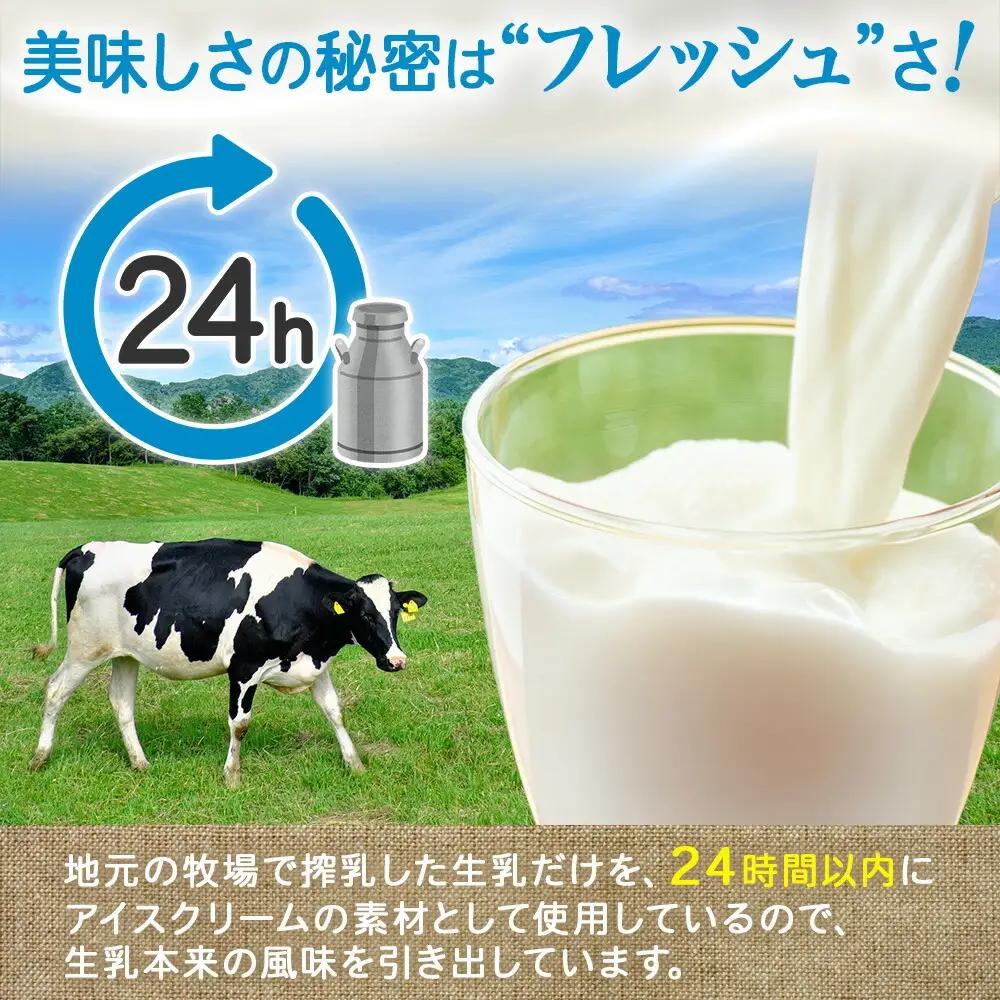 アイスクリーム ミルクココア ジェラート ココア 業務用 チョコ 2リットル 2L アイス 大容量 手作り 北海道 弟子屈町 634