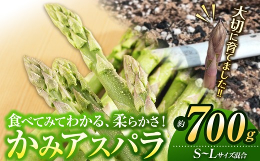 かみアスパラ S～L混合約700g | アスパラガス 野菜 柔らかい 旨味 ホイル焼き 天ぷら 炒め物 パスタ 安心 安全 農法 マヨネーズ オリーブオイル 塩 ベーコン巻き グリル 料理 おいしい グルメ ヘルシー 兵庫県 上郡町