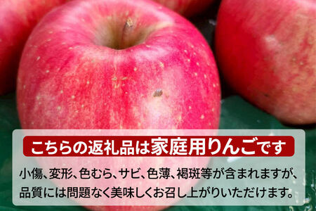 【26年1月～発送】りんご 葉とらずサンふじ ＆ 王林 詰め合わせ 約5kg 家庭用 訳あり ちとせ村