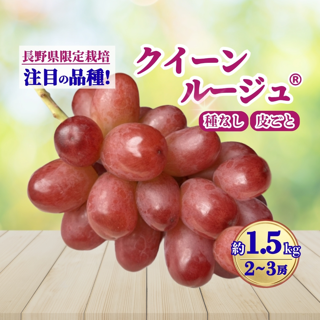 【2026年先行予約】クイーンルージュ®︎  約1.5kg(2~3房)｜ 果物 フルーツ 赤ぶどう 葡萄 ブドウ 種無し 種なし 皮ごと 千曲市 長野県 信州
