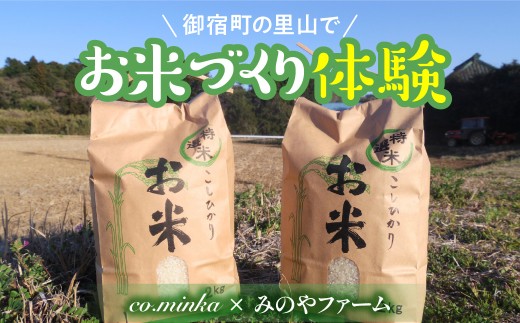 2026年度 田んぼ 区画オーナー制度（２区画）【企業・団体様向け～１作業日につき最大１１名様受け入れ可能】Ｌ７０５
