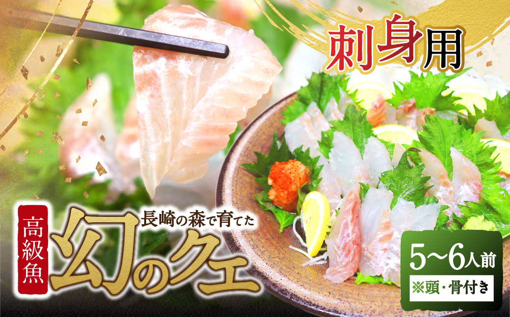 長崎の森で育てた『幻のクエ』 刺身用 5～6人前（1kg～2kg前後）／ 海鮮 魚介 刺身 クエ 鍋 高級魚 長崎県 長崎市