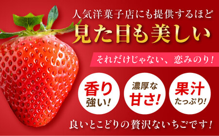 【先行予約】こば農園のこだわりいちご　恋みのり 約1080g（約270g：6～11粒×4パック） 【合同会社 こば農園】[ZFO006]