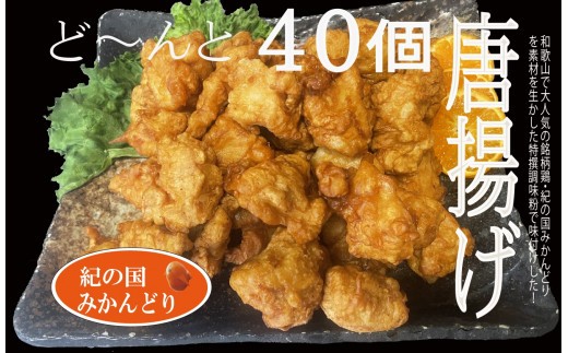 
                  紀の国みかんどり 特選 唐揚げ【からあげ 鶏から 冷蔵 チルド 惣菜 弁当 おかず】_DO6004n
                