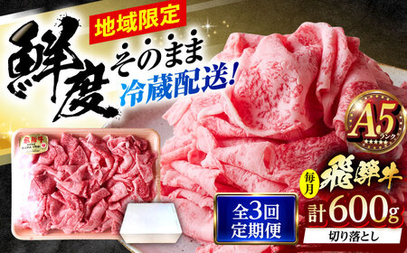 【3回定期便】 ※冷蔵配送/地域限定※ 飛騨牛 切落し (ロースまたは肩ロース) 600g 瑞浪市 / きなぁた瑞浪&nbsp;和牛 国産 岐阜県産[AZCI077]