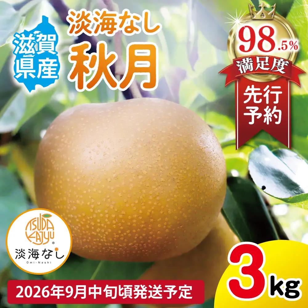 【先行予約】【数量限定】淡海なし　秋月　3kg箱入り（サイズ：2L～7L　5～10個入り）【K130W】 スイーツ 果物