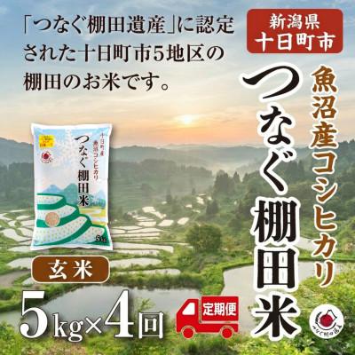 ふるさと納税 十日町市 【毎月定期便】新潟県十日町市魚沼産コシヒカリ「つなぐ棚田米」玄米5kg全4回