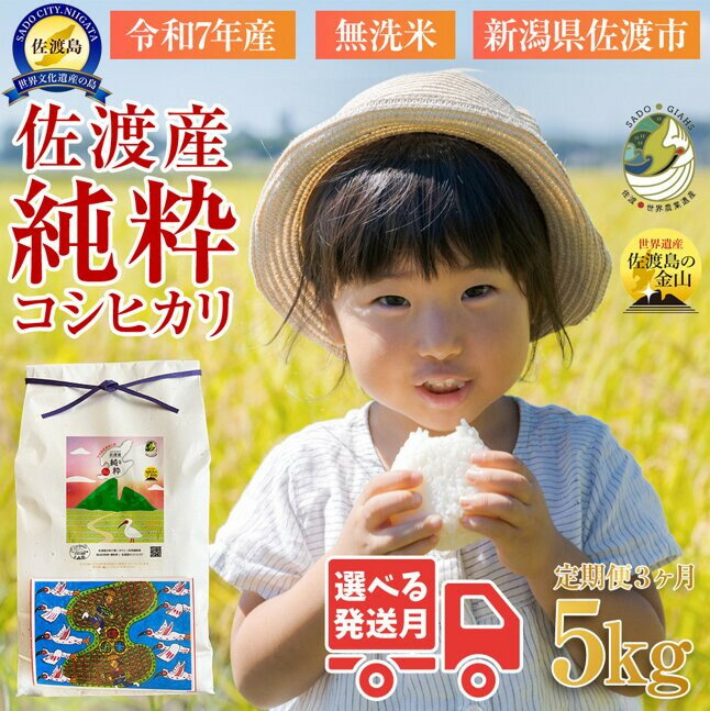 【ふるさと納税】＜定期便3回・先行予約＞【令和7年産・数量限定】新潟県佐渡産の純粋コシヒカリ　精米【無洗米】5kg×3回　送料無料　R7年12月上旬～R8年2月上旬の3回送付