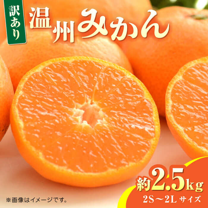 【ふるさと納税】【先行予約】温州みかん約2.5kg　2S〜2Lサイズ　【くまふる】[ZBG052]