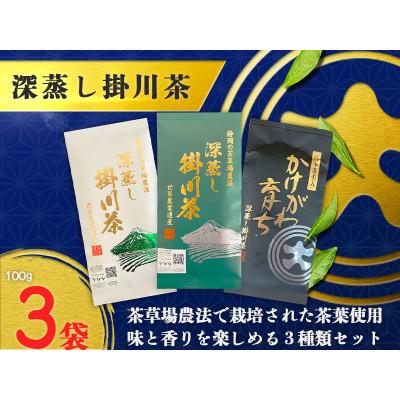 ふるさと納税 掛川市 深蒸し掛川茶三昧セット　100g×3袋(ギフト箱入)