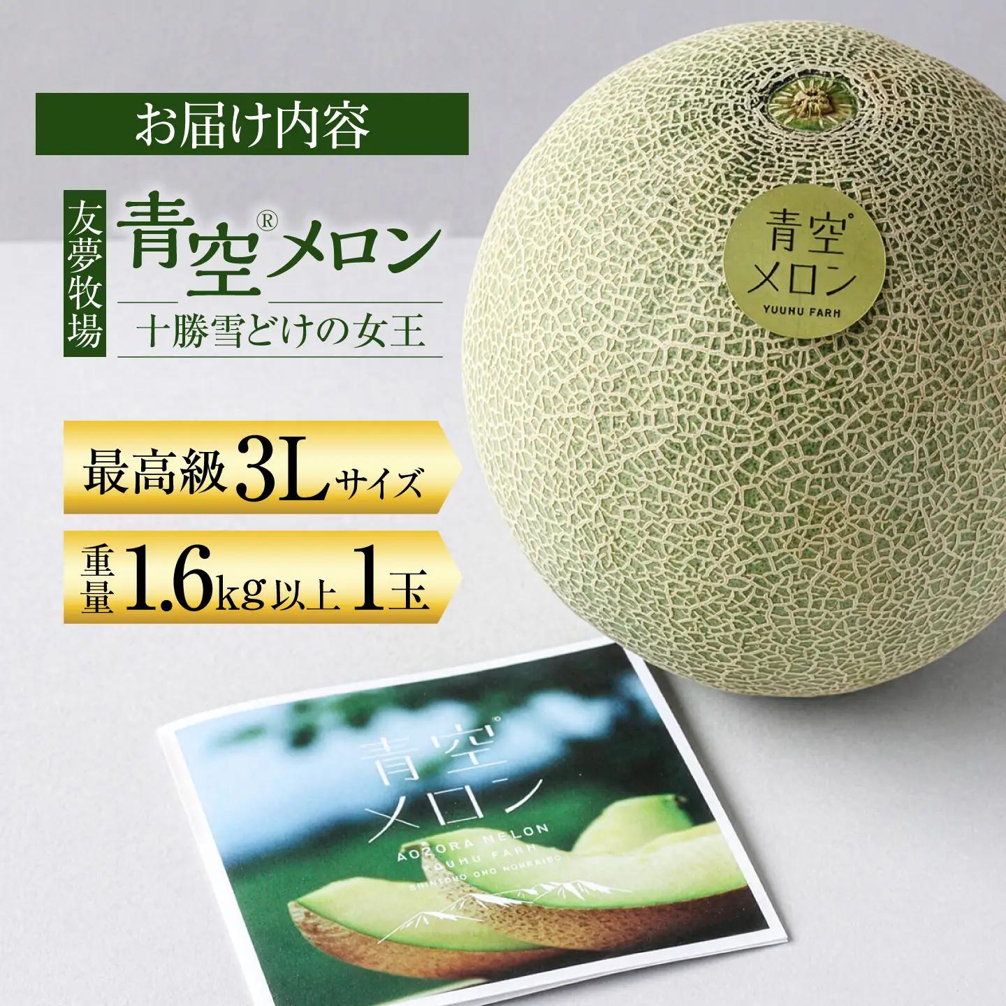 【先行予約】＼最高級／青空メロン 1玉 糖度14以上 メロン[BNBM001]
