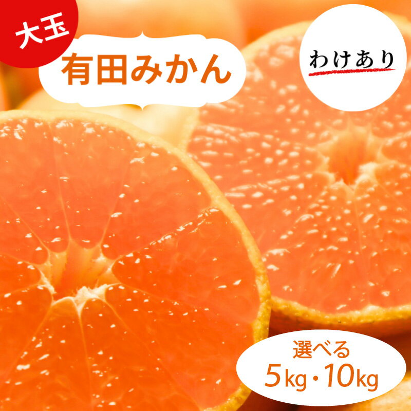 【ふるさと納税】 和歌山県産 有田みかん 大玉 2L 〜 3L 訳あり 選べる容量 5kg 〜 10kg ※2025年10月下旬〜2026年1月中旬頃に順次発送予定（お届け日指定不可) ミカン 柑橘 みかん 有田みかん 和歌山