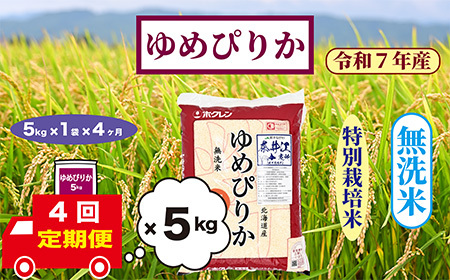 【定期便4回】北海道奈井江町　特別栽培米　ゆめぴりか　5kg【無洗米】
