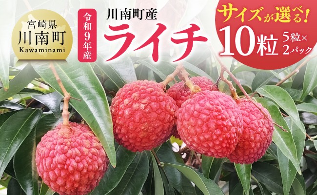 
                  ※サイズが選べる※【令和9年産】川南町産ライチ10粒(5粒×2パック) 【 国産ライチ フルーツ デザート 宮崎県産 】
                