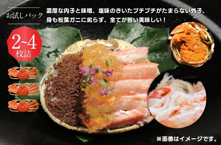 【活】鳥取県産　訳あり　良品セコガニ　お試しパック　約500ｇ（2～4枚）《かに カニ 蟹 セコガニ》※2025/11/6～2025/12/29に順次発送予定※着日指定不可  離島不可（北海道、沖縄本