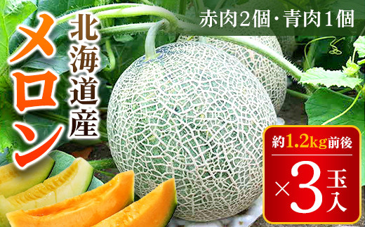 
            【2025年7月下旬より発送】メロン３玉入１箱（赤肉２玉・青肉１玉、もしくは赤肉１玉・青肉２玉）　1玉約1.2kg前後 【 ふるさと納税 人気 おすすめ ランキング メロン めろん 甘い おいしい 北海道 厚沢部 送料無料 】 ASO002
          