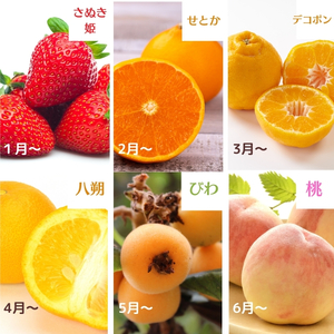 フルーツ定期便 苺 せとか デコポン 八朔 びわ 桃 フルーツ定期便【12ヶ月連続】