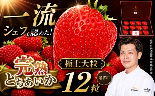 栃木県産 完熟とちあいか  ギフトボックス 《大粒極上》 贈答用 ボックス（12粒）　栃木県 下野市 栃木県共通返礼品 宇都宮産 送料無料