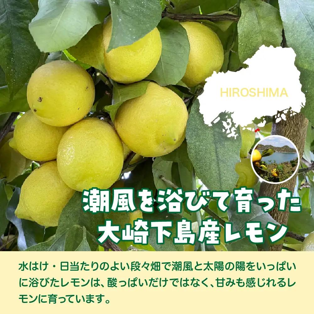 【先行受付】【2026年12月～発送】栽培期間中農薬不使用「レモン」 約1kg ku033-004-26