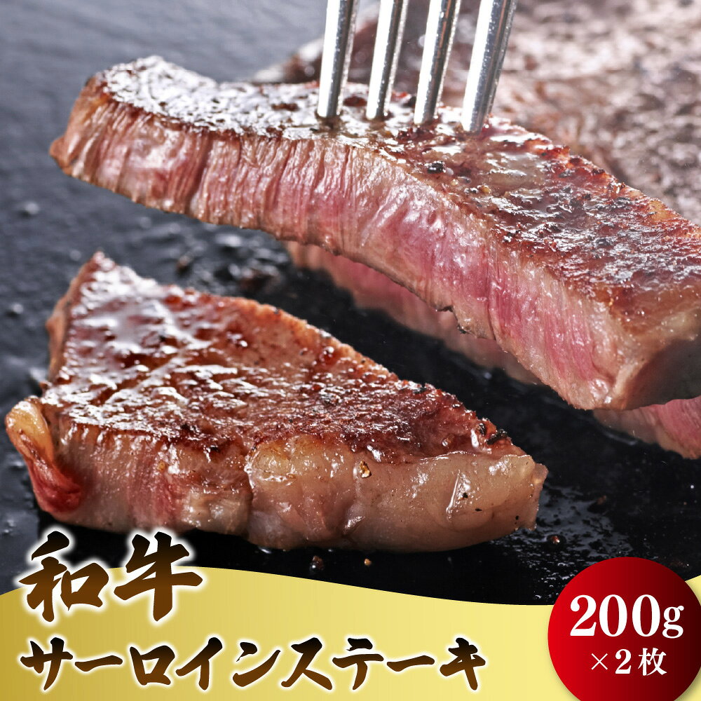 【ふるさと納税】和牛 サーロインステーキ 目利き 焼肉店 選りすぐり 贅沢 ステーキカット ご褒美 和牛サーロイン プロ 人気焼肉店 仕入れ 送料無料 大阪市 大阪府 ふるさと納税