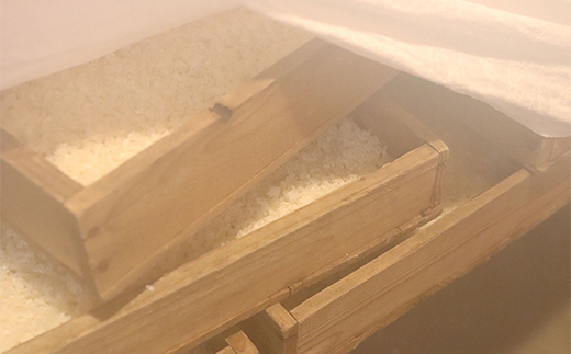 須賀川産コシヒカリ使用 冷凍生麹 約1kg 米麹 甘酒 塩麹 醤油麹 調味料作り 発酵食品 食品 F7X-0798