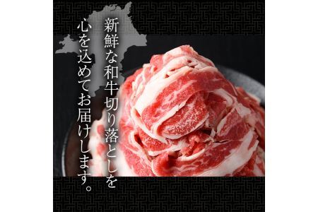 博多和牛切り落とし(300g×4パック・計1.2kg)牛肉 和牛 博多和牛 国産 切り落とし 小分け バラ モモ スネ＜離島配送不可＞【ksg1287】【くしだ企画】