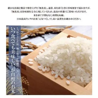 Z17-22 寄附額改定↓↓ 令和7年産 無洗米 元気つくし10kg