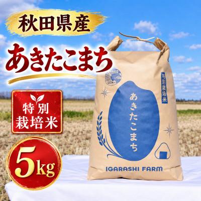 ふるさと納税 大潟村 特別栽培米 あきたこまち 白米 5kg