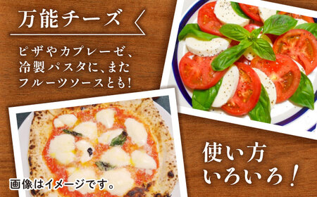 【全12回定期便】自家製 ナチュラルチーズ サンモッツア 4個 ( 100g × 4個 ) / チーズ モッツァレラチーズ  乳製品 熊本 山都町 チーズ定期 チーズ定期便 熊本チーズ 自家製チーズ 