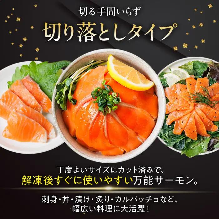 お刺身用 サーモン切り落とし (計400g) 鮭 小分け 真空 パック 冷凍 刺身 シャケ サケ 魚 魚介 漬け丼 海鮮丼 【AW-115】【丸正水産】