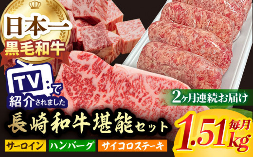 【全2回】 サーロイン サイコロステーキ ハンバーグ 総量3kg以上 セット 長崎和牛 [NA65] 肉 牛肉 サーロインステーキ 焼肉 おかず 惣菜 定期便