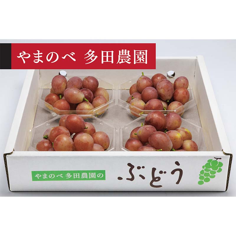 【ふるさと納税】≪2026年 先行予約≫クイーンニーナダイヤパック 250g×4パック（やまのべ多田農園のぶどう）山形県産 フルーツ 果物 くだもの 葡萄 ブドウ 贅沢 F4A-1012