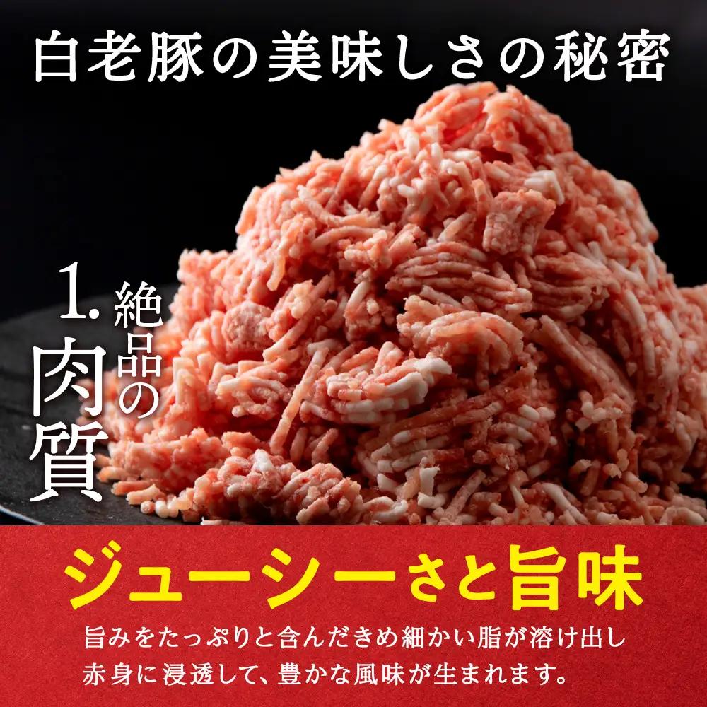 【定期便 3カ月】 北海道産 白老豚 ハンバーグ 120ｇ×15個 セット BV034